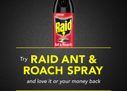 Raid Ant & Roach Killer Defense System, Outdoor, Aerosol, Fresh Scent 17.5 Ounce (Pack Of 4)