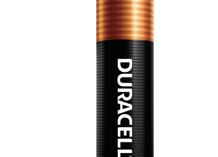 Duracell Coppertop AA Alkaline Batteries Long-Lasting Duralock Technology, 24 Count (Pack Of 2)