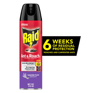 Raid Ant & Roach Killer Spray 26, Indoor and Outdoor Insecticide, Lavender Scent, Aerosol Spray, 17.5 Ounce (Pack Of 6)