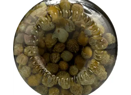 a glass bowl filled with shells