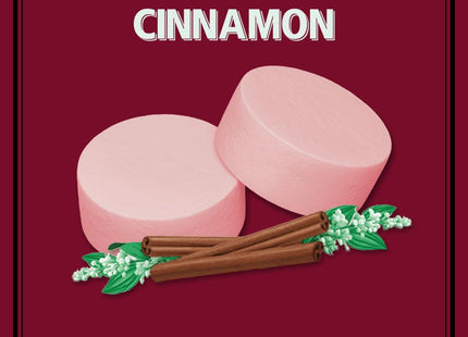 Altoids Curiously Strong Mints Cinnamon Breath Tins 1.76oz (12 Pack) - Food & Beverages > Sweets Chocolate Gums