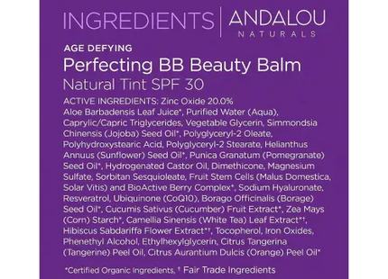 Andalou Naturals Perfecting BB Beauty Balm Natural Tinted Moisturizer with SPF 3 2 Fl Oz (Pack Of 2) - Health & >