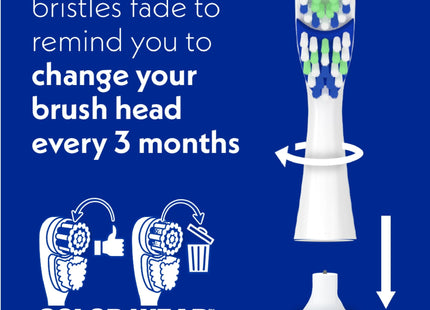 Arm & Hammer Spinbrush Toothbrush Replacement Head Pro-Clean 2ct (24 Pack) - Personal Care > Oral