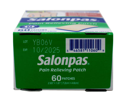 Salonpas Pain Relieving Patch, 8-Hour Pain Relief, 60 Patches (Pack Of 6)