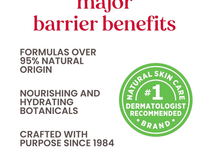 Burt’s Bees 100% Natural Origin Moisturizing Lip Balm Beeswax,1 Tube - Personal Care > Skin Balms & Treatments