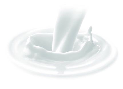 Dove Powder Invisible Solid Antiperspirant Deodorant Stick 1.6oz (2 Pack) - Personal Care > Bath & Body Anti-Perspirant