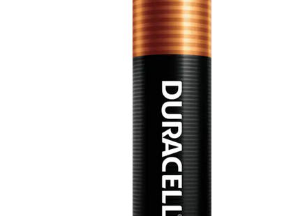 duplee batteries