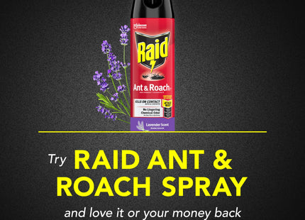 Raid Ant & Roach Killer Spray 26, Indoor and Outdoor Insecticide, Lavender Scent, Aerosol Spray, 17.5 Ounce (Pack Of 3)