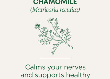 Traditional Medicinals Organic Chamomile Herbal Tea, Supports Healthy Digestion, 16 Count (Pack Of 24)