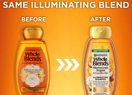 Garnier Whole Blends Shampoo with Moroccan Argan and Camellia Oil 12.5oz (2 Pack) - Personal Care > Hair & Styling