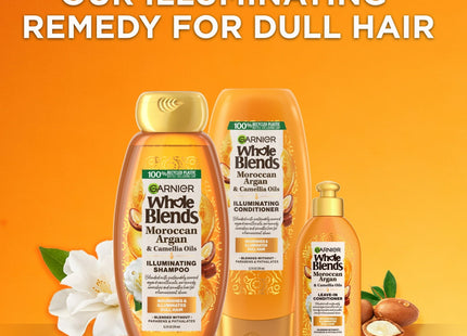 Garnier Whole Blends Shampoo with Moroccan Argan and Camellia Oil 12.5oz (2 Pack) - Personal Care > Hair & Styling