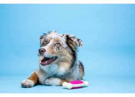 Hartz Chew n Clean Tuff Bone Dental Dog Toy Medium Color May Vary (2 Pack) - Pet Supplies > Toys