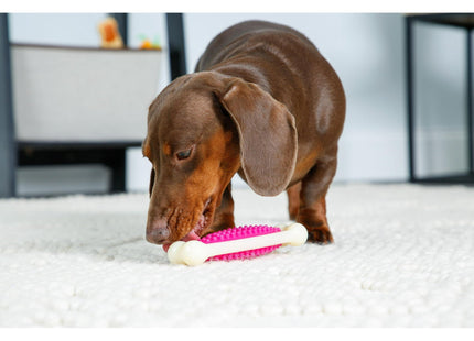 Hartz Chew n Clean Tuff Bone Dental Dog Toy Medium Color May Vary (2 Pack) - Pet Supplies > Toys