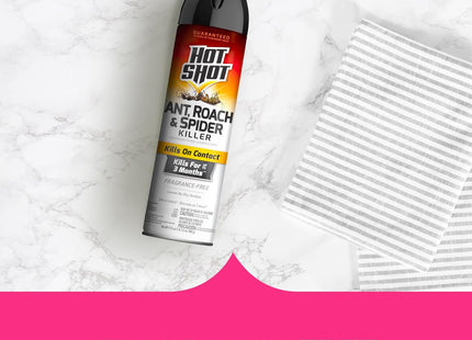 Hot Shot Ant Roach & Spider Killer Unscented Aerosol Spray 17.5 Floz - Household Supplies > Insect Grub Control