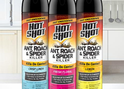 Raid Ant & Roach Killer Defense System, Outdoor, Aerosol, Fresh Scent 17.5 Ounce (Pack Of 6)