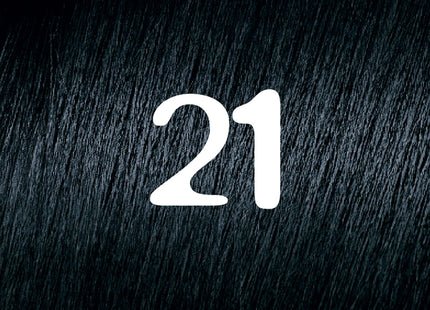 L’Oreal Paris Feria Permanent Hair Color 21 Starry Night Bright Black - Personal Care > & Styling