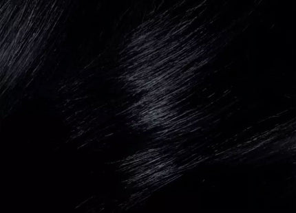 L’Oreal Paris Preference Fade-Defying HairColor 1.0 Ultimate Black (2 Pack) - Personal Care > Hair & Styling Color