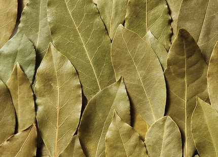 McCormick Whole Bay Leaves For Robust Flavor Non GMO 0.12oz (2 Pack) - Food & Beverages > Herbs Spices Seasonings