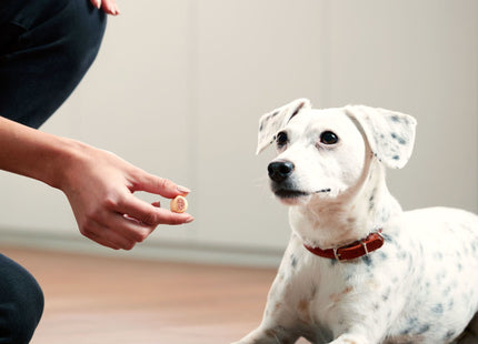Milk-bone Original Maro-snacks Dog Treats For Dogs Of All Sizes 10oz (2 Pack) - Pet Supplies > Chews &