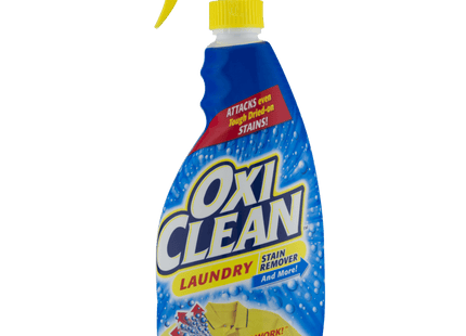 OxiClean Laundry Fabric Spot Stain Remover Liquid Spray Fresh 21.5oz (4 Pack) - Household Supplies > Detergents