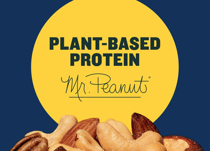 PLANTERS Salted Mixed Nuts Party Snacks Plant-Based Protein 10.3oz (2 Pack) - Food & Beverages > Seeds Mixes