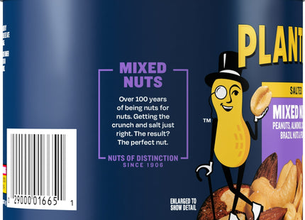 PLANTERS Salted Mixed Nuts Party Snacks Plant-Based Protein 10.3oz (2 Pack) - Food & Beverages > Seeds Mixes