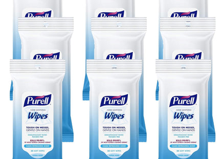 Purell Hand Sanitizing Wipes Alcohol Free Fresh Scent Trial Size 20ct (6 Pack) - Household Supplies > Cleaning & Pads