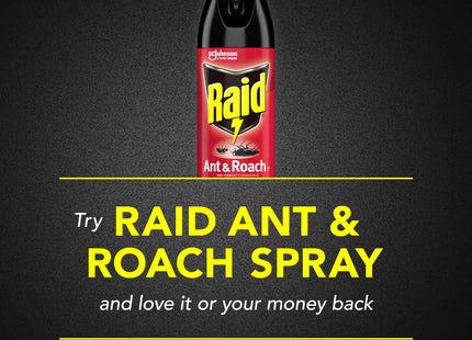 Raid Ant & Roach Killer Defense System Outdoor Fresh Scent 17.5oz (2 Pack) - Household Supplies > Insect Grub Control