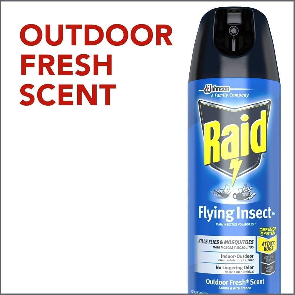 Raid Flying Insect Raid Flying Insect Killer Formula Outdoor Fresh Scent – High Mart