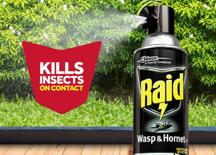 Raid Wasp and Hornet Killer Spray Defense System Insect Repellent 14oz (2 Pack) - Household Supplies > & Grub Control