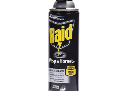 Raid Wasp and Hornet Killer Spray Defense System Insect Repellent 14oz (2 Pack) - Household Supplies > & Grub Control