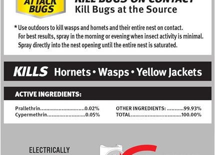 Raid Wasp and Hornet Killer Spray Defense System Insect Repellent 14oz (2 Pack) - Household Supplies > & Grub Control