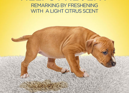 Resolve Urine Destroyer Spray Stain & Odor Remover Carpet Cleaner 32oz - Pet Supplies > Dog Removal