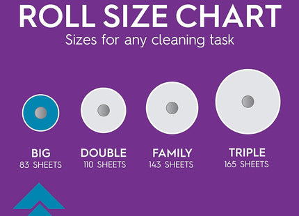 Viva Multi-Surface 2Ply Cloth Paper Towels 6 Big Rolls = 9 Regular (2 Pack) - Household Supplies > Cleaning